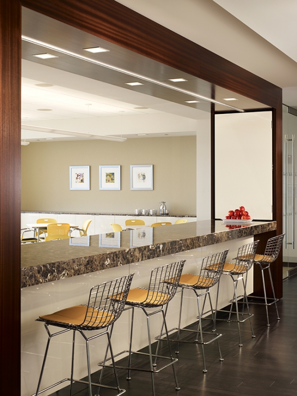 Conopco Management Company Featured Project Aurora Investment