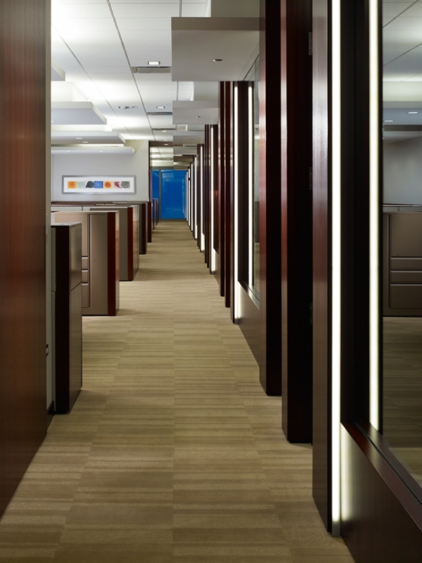 Conopco Management Company Featured Project Aurora Investment